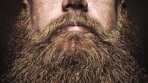 20 reasons to grow a beautiful beard - Bearded Pleasures 