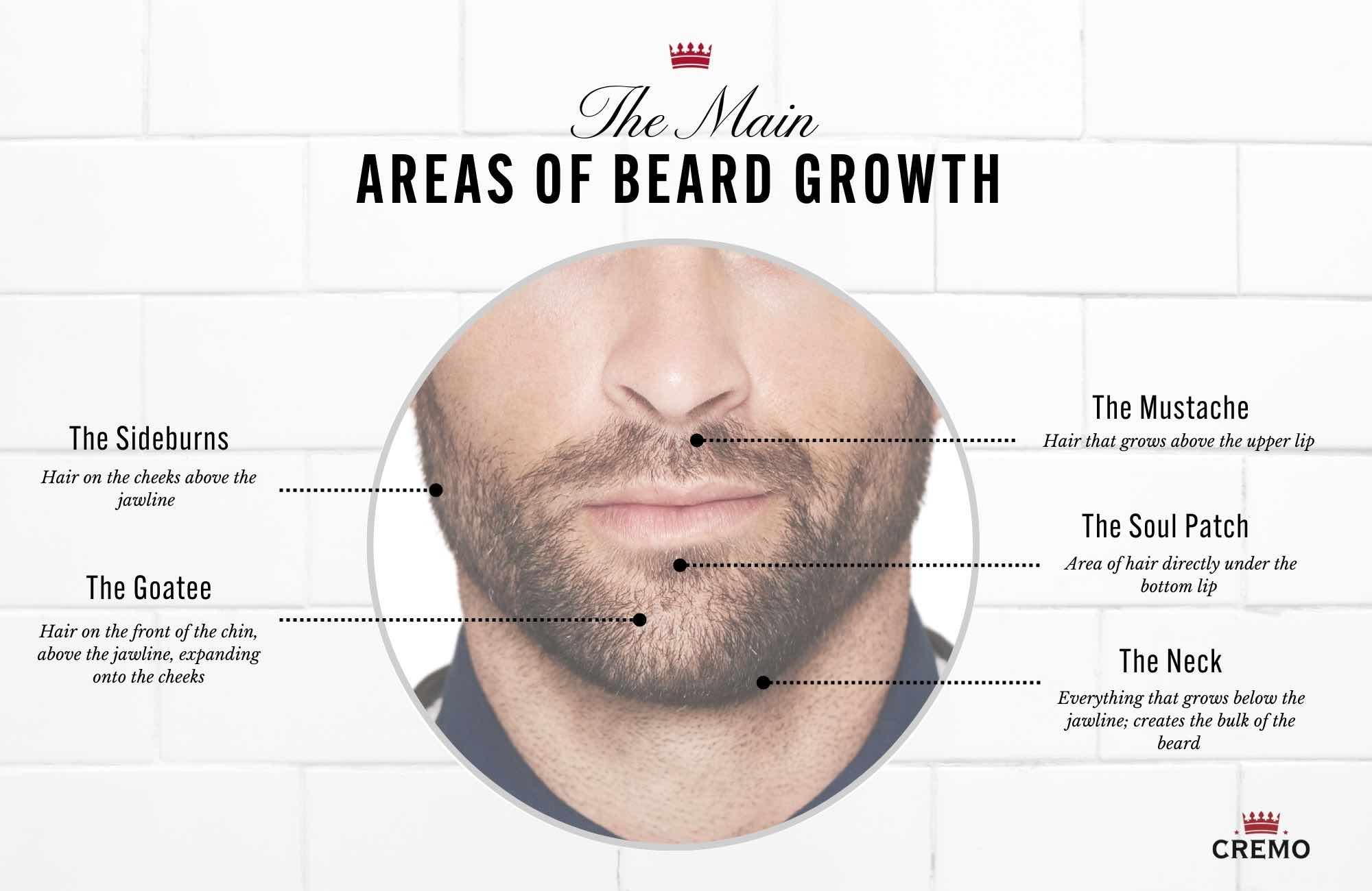 The Science Behind Beard Growth and How to Promote It