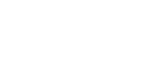 Bearded Pleasures Logo 